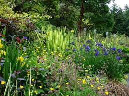 Daniel Mount Gardens Bellevue Borders Garden Design Perennial Garden Borders