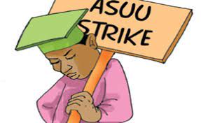 Check spelling or type a new query. Asuu Joins Nlc Warning Strike In Kaduna The Sun Nigeria
