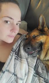 Does anyone know this lost cat?