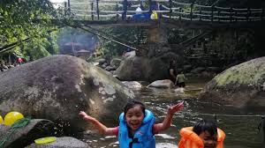 In kalumpang one can enjoy the beauty of arena of. Mandi Dan Picnic Di The Nahara Kalumpang Resort Youtube