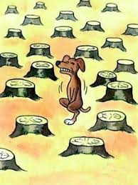 Se metieron con lo sagrado: Dibujos De La Deforestacion Reforestacion Humor De Viernes Chistes Deforestacion