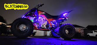 Image result for Pimpinella sp. A. of FZ 4: 594