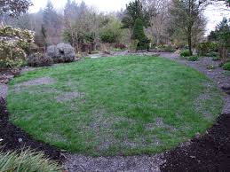 Waterlogged gardens are a common issue, sitting water can spoil your garden and cause lasting damage to plants, grass and garden surfaces. Using Gravel To Improve Your Lawn Joy Creek Nursery