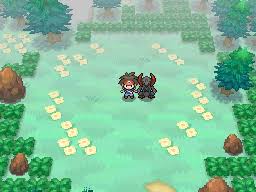 But i'd be willing to battle in black and white. Pokemon Black 2 Pokemon White 2 Interactable Pokemon