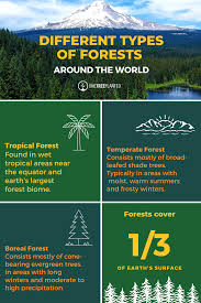 Different Types Of Forests Different Types Of Forests Types Of Forests Trees To Plant