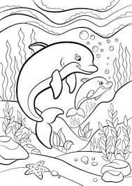 Coloring4free realistic dolphin coloring pages jumping out of water coloring4free cute dolphin coloring pages dolphin dolphin very printable coloring pages are a fun way for kids of all ages to develop creativity, focus, motor skills and color recognition. 30 Free Dolphin Coloring Pages Printable