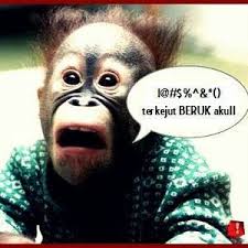 Satu malam tu kawan pompuan ni la, dia baru. Lawak Jenaka Sampai Pecah Perut Photos Facebook