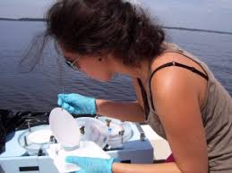 Coastal Science Serves North Carolina: Sea Grant Funds New Research  Projects