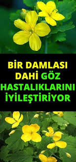Pin By Hasan Uludag On Saglik Eye Care Natural Herbs Healthy Living