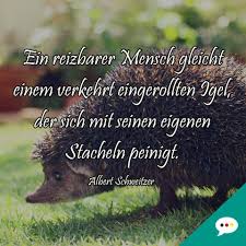 Kluge Spruchbilder Deutsche Sprüche Xxl
