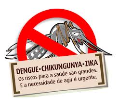 Resultado de imagem para dengue
