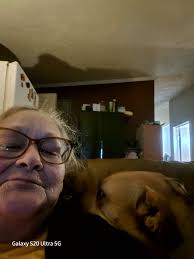 Petal wishes you all a merry Christmas 🤍✨