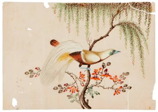 Roseberys London | Five Chinese gouache paintings on rice paper, late 19th