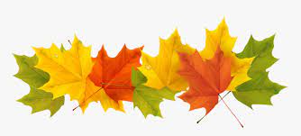 Check spelling or type a new query. Transparent Background Fall Leaf Clipart Hd Png Download Transparent Png Image Pngitem