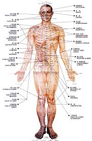 Acupuncture Wall Chart Acupressure Treatment Acupuncture