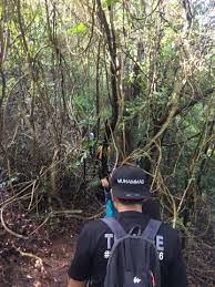 Panorama udara, bandaraya kuala terengganu pada waktu malam. Galeri