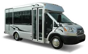 Image result for Bussea