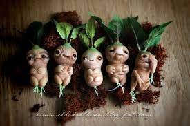 Baby Mandrake Dolls Polymer Clay Fairy Clay Fairies Fairy Garden