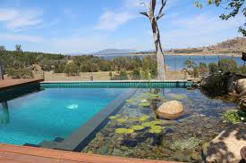 They tend to be most attractive to people who are interested in the aesthetic value of the pool and the. Biotop Natural Plunge Pool In Down Under