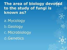We send trivia questions and personality tests every week to your inbox. Biology Honors Trivia Questions Ppt Download