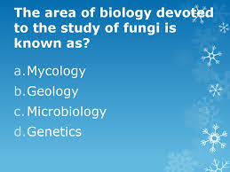 Try general cardiology for a comprehensive review of all topics or expert cardiology for more advanced questions. Biology Honors Trivia Questions Ppt Download