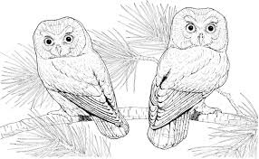 Each printable highlights a word that starts. Print Download Owl Coloring Pages For Your Kids