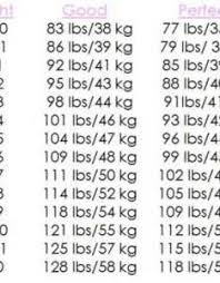 39 Haglund S Heel Bolshoi Ballet Bolshoi Weight Chart