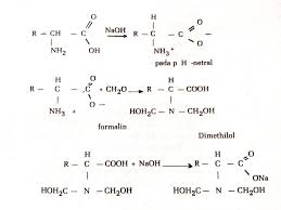 Protein bence jones adalah suatu protein dengan berat molekul kecil (± 44.000) terdiri dari rantai ringan (light chains) kappa atau lambda immunoglobin yang ditemukan di urin.karena glukosa urine adalah gugus gula sederhana yang masih ada di urine setelah melewati berbagai proses di ginjal. Protein Sir Ossiris Home Site