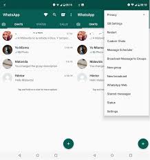 Onde baixar whatsapp gb 2021 atualizado. Gbwhatsapp Pro Atualizado 2021 V 16 10 0 Wr Apk