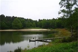 Om de natuur hier nieuwe kansen te geven om zich te herstellen en verder te ontwikkelen werd het natuurinrichtingsproject zwarte beek ingesteld. Ontdek De Vallei Van De Zwarte Beek In Koersel Beringen Het Belang Van Limburg Mobile