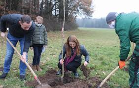 Maybe you would like to learn more about one of these? Wenn Das Leben Endet Bevor Es Beginnt Landkreis Donau Ries Aktuell