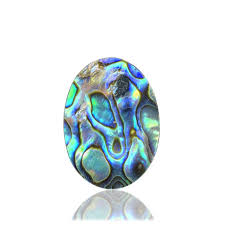 Buy 100% Natural Abalone Shell Stone