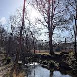 Guided walk - Exploring the River Worth