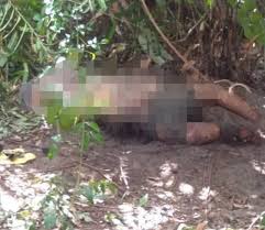 Salah satu agenda yang paling banyak memikat perhatian warga adalah festival kemerdekaan yang biasa dilaksanakan sebelum tanggal 17 agustus sampai. Pemandu Grab Sah Disamun Dibunuh Dua Penumpang Terakhir Demi Rm80 Oh Media