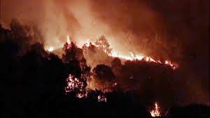 Showing 1 results related to turkey fire. L1o1ncvdhefv M