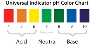 (a) the first name given is the iupac or stock system name. Ph And Color Change Chapter 6 Chemical Change Middle School Chemistry