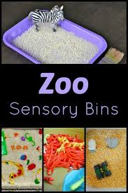 We have been learning about arctic animals in our preschool at home, so this went perfectly with our theme. Zoo Theme Sensory Play Ideas For Toddlers And Preschoolers Zoo Preschool Zoo Activities Sensory Bins