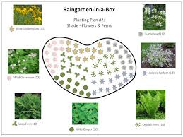 Raingarden In A Box Designs Rain Garden Design Rain Garden Rain Garden Landscape