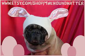 Easter Bunny Hat For Dogs By The Hound Hatter Imogen Smid Dog Costume Pug Pet Clothing Dog Bunny Ears Dressed Up Dogs Etsy Easter Pets