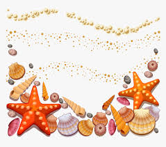 Pngkit selects 158 hd beach clipart png images for free download. Shells On The Beach Clipart Png Download Sea Shells Vector Free Transparent Png Transparent Png Image Pngitem