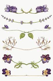 Png Flower Flourish Divider Element Set Remix From The Model Book Of Calligraphy Joris Hoefnagel And Georg Bo Flower Illustration Antique Artwork Frame Ribbon