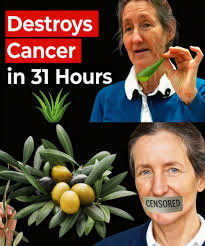 Say Goodbye to Dust Mites Forever with These Simple Tricks