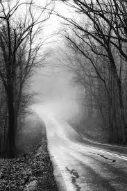 Black And White Road Photography The Road Within Black And White Landscape Photography Of State Route 374 In Hocking Hills Oh Black And White Landscape Road Photography Landscape Photography