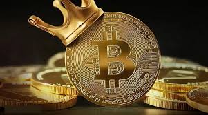 In january 2021, his company, tesla, caused a surge in the price of bitcoins and other cryptocurrencies when it bought $1.5 billion worth of bitcoins. Witness Largest Single Day Rise Bitcoin Hit Us 39k For E Commerce Giant