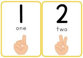 Choose from flashcards, posters, worksheets and classroom games. Number Flash Cards With Fingers 1 10 By Robin Reifel Tpt