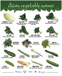 Pin By Chris Lee On Veggie Asian Vegetables Chinese Vegetables Green Vegetables Name