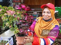 Jul 05, 2021 · model teras rumah minimalis desain cantik dan sederhana ini dijamin bikin rumahmu tambah homey. Tanaman Pokok Hiasan Jadi Sumber Rezeki Bekas Anggota Tentera