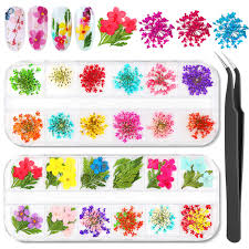 Nail art beads and rhinestones. Amazon Com Hapythda Nail Dried Flowers 2 Boxes 3d Nail Art Sticker Decals 24 Colors Real Natural Small Pressed Dried Flowers Nail Art Decorations Supplies With Starry Leaves And Five Flower Beauty