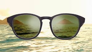 What Are Polarized Lenses