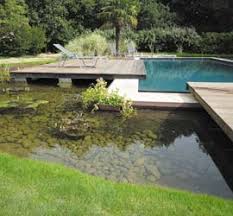 Piscine Bi Eaux Bassin Naturel Et Bassin Traite Piscine Naturelle Piscine Bassin Naturel